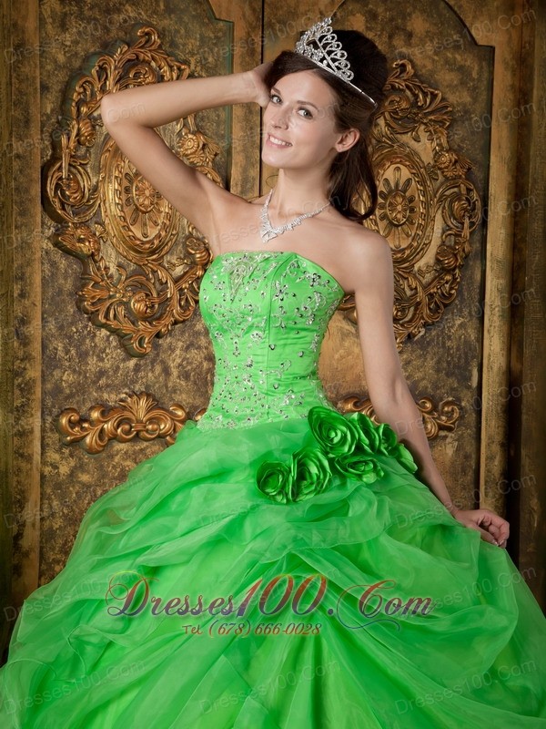 Spring Green Organza Beading Flower Quinceanera Dresses