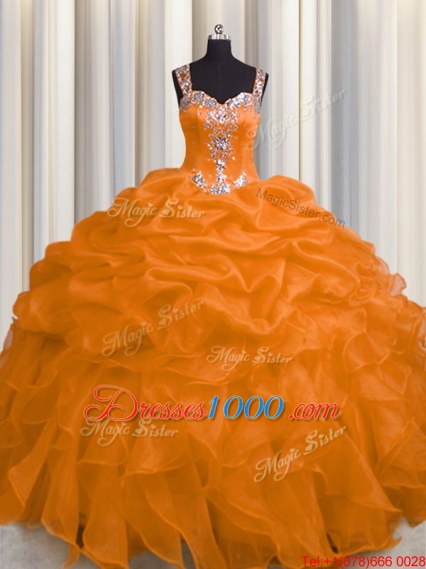 Luxury See Through Zipper Up Straps Sleeveless Organza 15 Quinceanera Dress Appliques and Ruffles Zipper